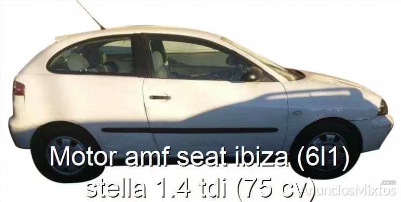 Motor amf seat ibiza (6l1) stella 1.4 tdi (75 cv) - Foto 1