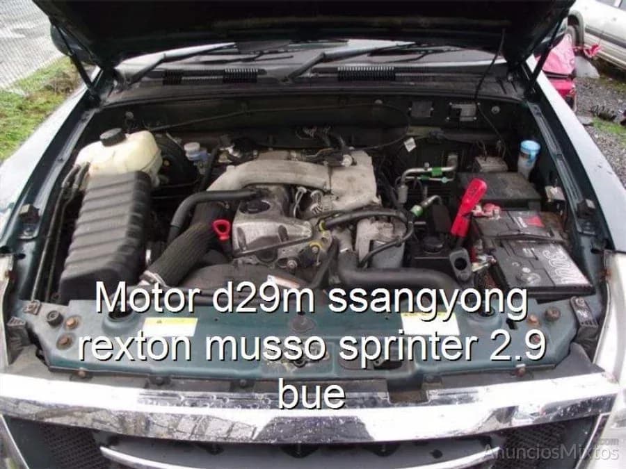 Motor d29m ssangyong rexton musso sprinter 2.9 bue - Foto 1