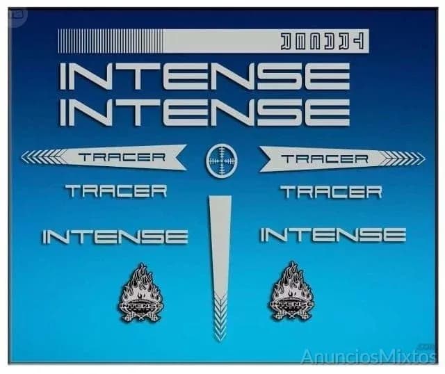 Pegatina cuadro intense tracer am56 - Foto 1