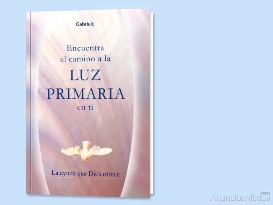 Encuentra el camino a La Luz Primaria en tí - Foto 1