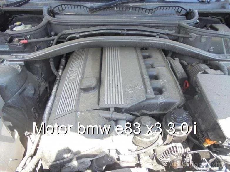 Motor bmw e83 x3 3.0 i - Foto 1