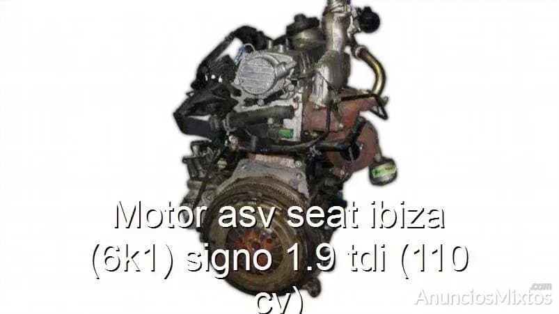 Motor asv seat ibiza (6k1) signo 1.9 tdi (110 cv) - Foto 1