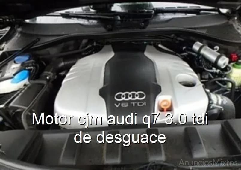 Motor cjm audi q7 3.0 tdi de desguace - Foto 1