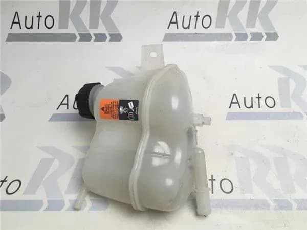 Deposito expansion Nissan Qashqai J11 - Foto 3