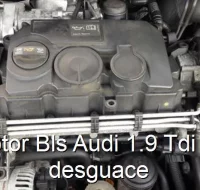 Motor Bls Audi 1.9 Tdi de desguace