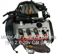 Motor ALT Audi A4 Berlina (8e) 2.0 20v Cat (alt) (