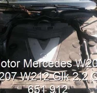 Motor Mercedes W204 W207 W212 Glk 2.2 Cdi 651 912