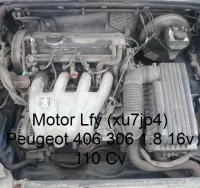 Motor Lfy (xu7jp4) Peugeot 406 306 1.8 16v 110 Cv