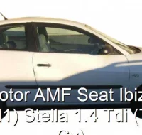 Motor AMF Seat Ibiza (6l1) Stella 1.4 Tdi (75 Cv)