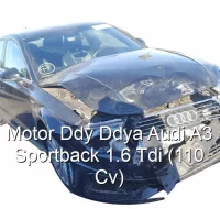 Motor Ddy Ddya Audi A3 Sportback 1.6 Tdi (110 Cv)