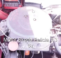 Motor Skoda Felicia 1.3 8v