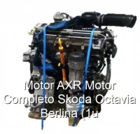 Motor AXR Motor Completo Skoda Octavia Berlina (1u