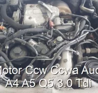 Motor Ccw Ccwa Audi A4 A5 Q5 3.0 Tdi