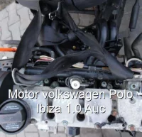 Motor volkswagen Polo Ibiza 1.0 Auc