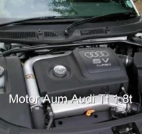 Motor Aum Audi Tt 1.8t