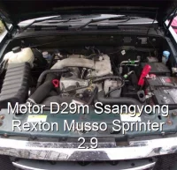 Motor D29m Ssangyong Rexton Musso Sprinter 2.9