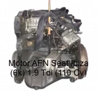 Motor AFN Seat Ibiza (6k) 1.9 Tdi (110 Cv)