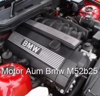 Motor Aum Bmw M52b25