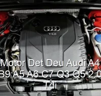 Motor Det Deu Audi A4 B9 A5 A6 C7 Q3 Q5 2.0 Tdi