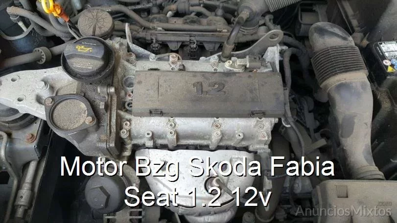 Motor Bzg Skoda Fabia Seat 1.2 12v