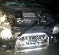 Motor Hyundai Santa Fe 2.0 Crdi 03