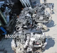 Motor Bls Bmm Aguja Audi 1.9 Tdi