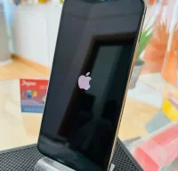 iPhone 11 Pro Max 64 GB Dorado GARANTIA