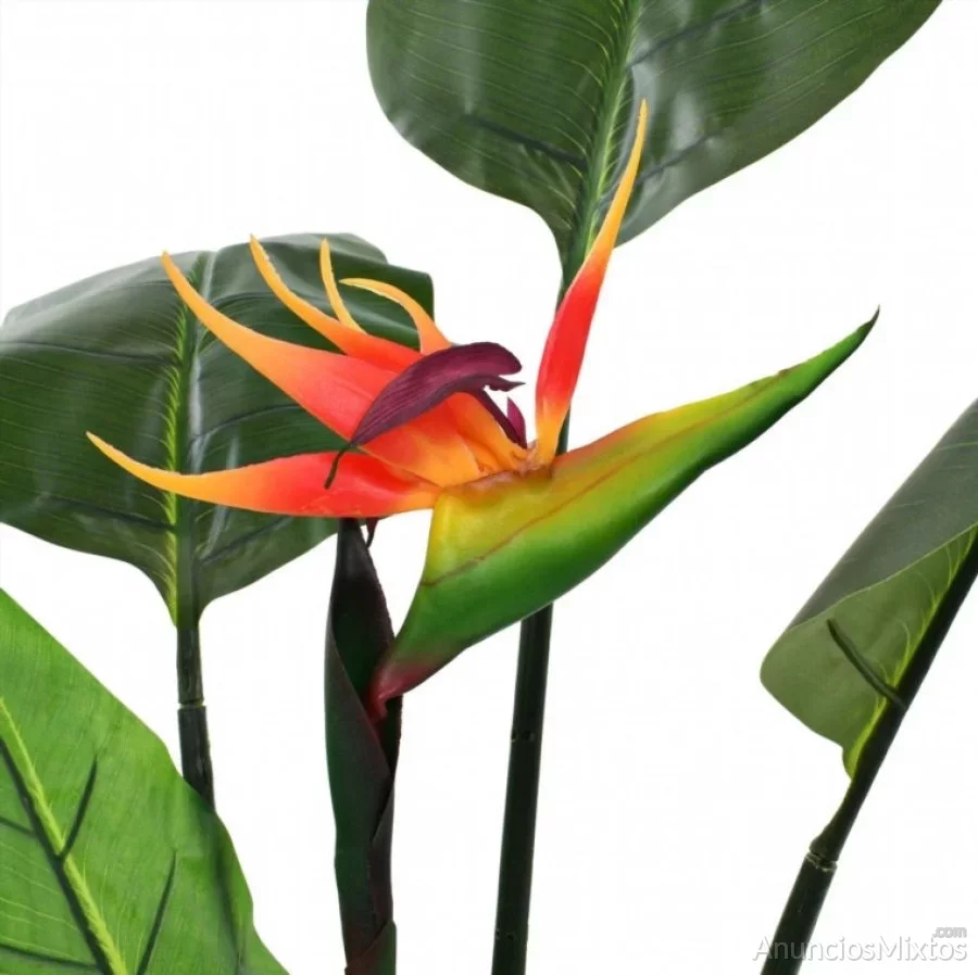 Planta strelitzia reginae ave del paraíso artifici nuevo