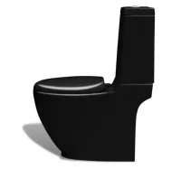 Inodoro WC aseo de cerámica negro