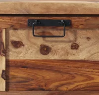 Mueble zapatero de madera maciza sheesham 120x35x4