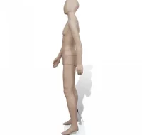 Maniquí de hombre cabeza redonda