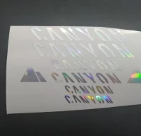 Pegatina vinilo holográfico canyon cr04
