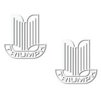 Pegatinas triump logo rv307