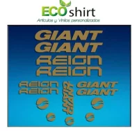 Pegatinas cuadro frame giant reign am30