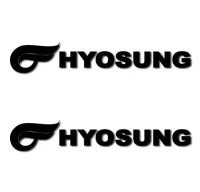 Pegatina hyosung logo rv224