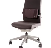 Cojín lumbar fellowes fusion plushtouch