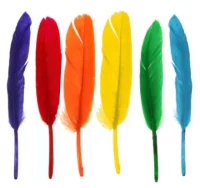 Plumas para manualidades de colores, pte. 100