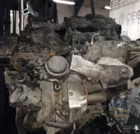 Despiece motor volkswagen golf v berlina 1.9 tdi (