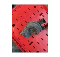 Claxon audi a3 sportback (8pa) (2004-2013) 1.9 tdi