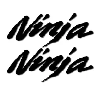 Pegatinas ninja antiguo rv241