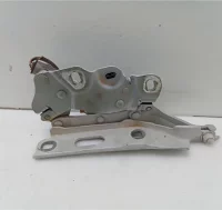 BISAGRA CAPO DCHA Audi A3 (8V1)(032012->)