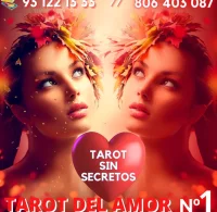 CON EL AMOR NO SE JUEGA, TAROT 24H