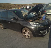 DESPIECE DE RENAULT SCENIC III 1.9 dCi D FAP (131 