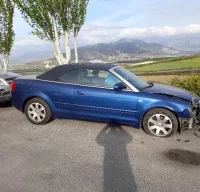 DESPIECE DE AUDI A4 CABRIO 2.5 V6 24V TDI (163 CV)