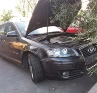 DESPIECE DE AUDI A3 2.0 TDI (140 CV)