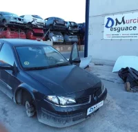 DESPIECE DE RENAULT LAGUNA II 1.9 dCi D FAP (110 C