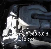 Motor bmw 5 e60 3.0 d 218 cv