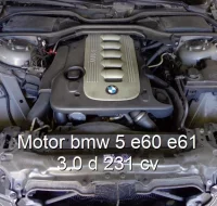 Motor bmw 5 e60 e61 3.0 d 231 cv