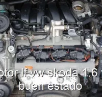 Motor lf vw skoda 1.6 fsi buen estado