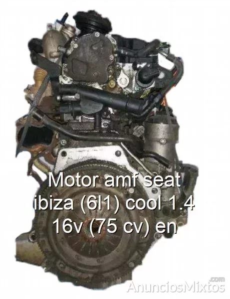 Motor amf seat ibiza (6l1) cool 1.4 16v (75 cv) en